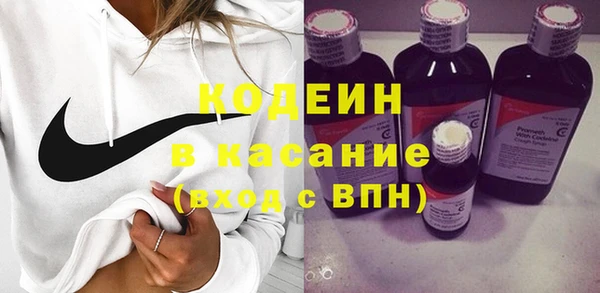 дмт Костерёво