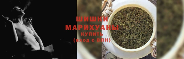 соль ск Козельск