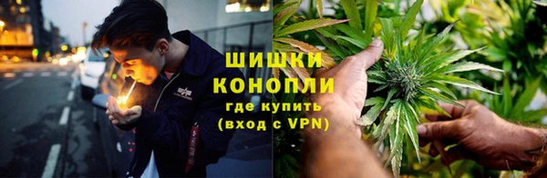 соль ск Козельск