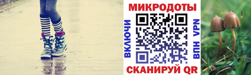 Псилоцибиновые грибы Psilocybe  Кораблино 